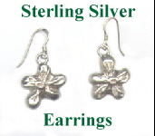 Sterling Silver




Earrings